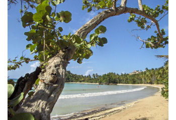 caraibi repubblica dominicana